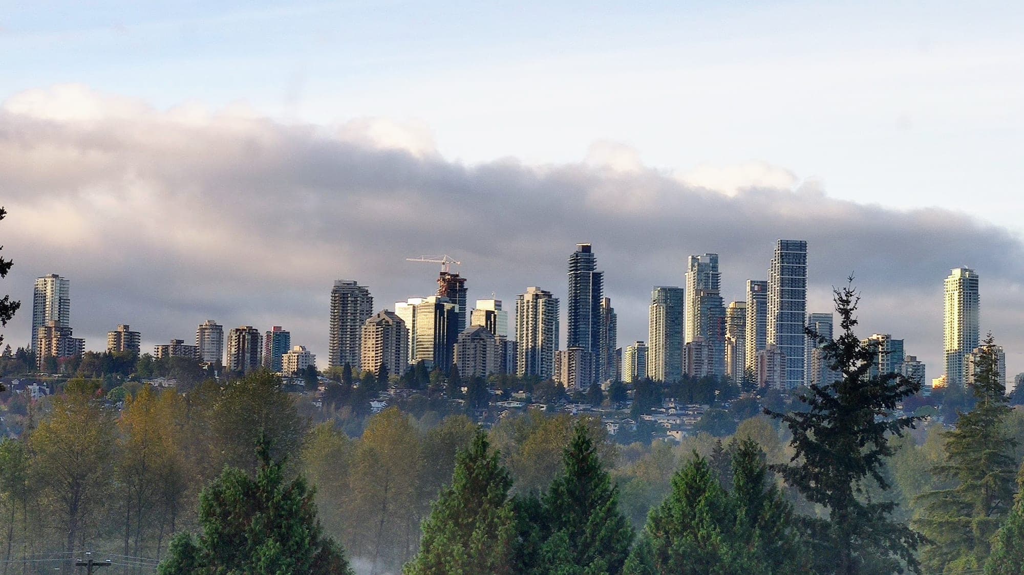 The skyline of Metrotown in Burnaby with dense residential high-rises clustered around the Expo Line SkyTrain corridor.