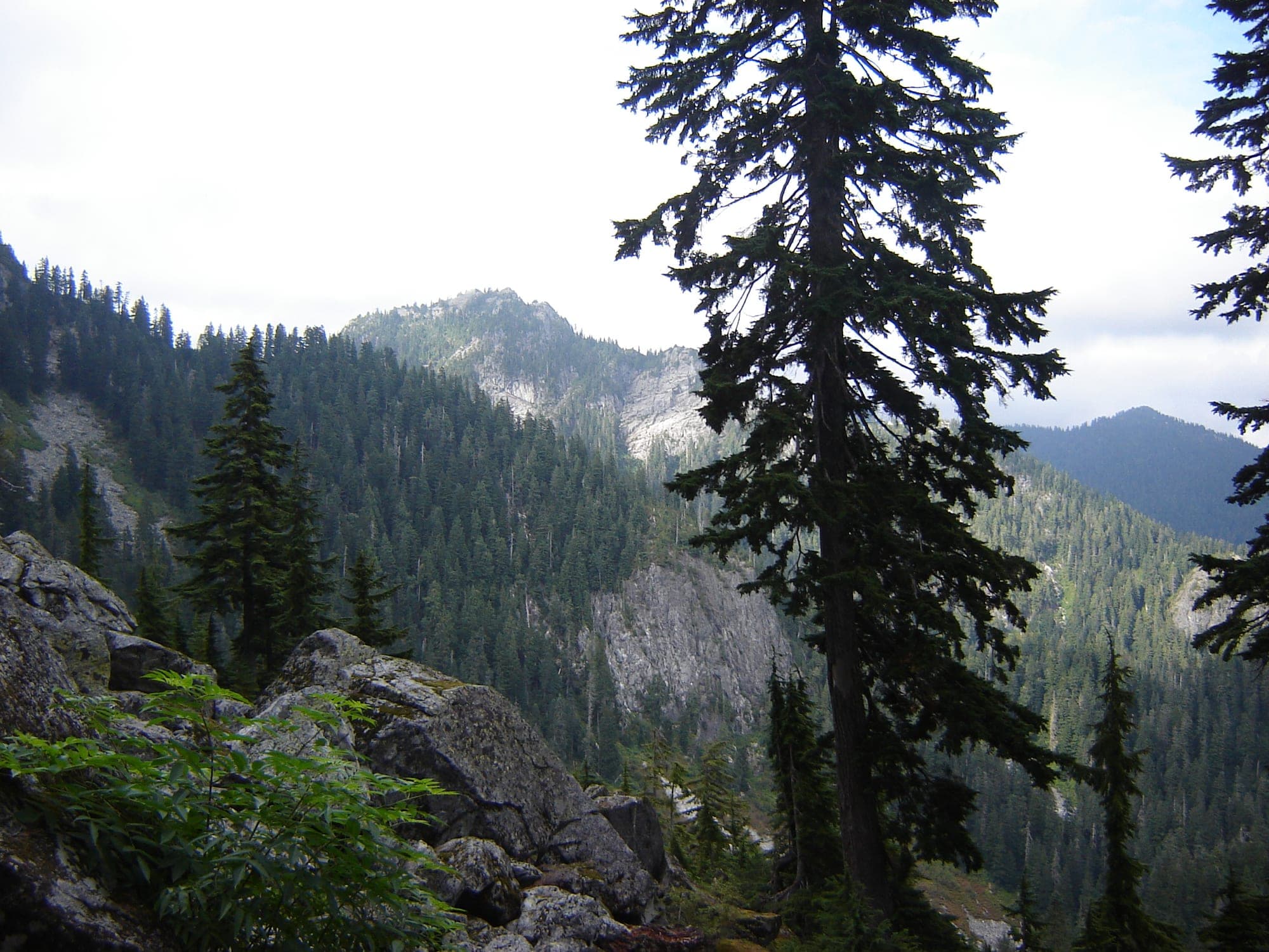 A view from the upper slopes of Mount Seymour Provincial Park in the North Shore mountains, looking south across Burrard Inlet toward Vancouver.