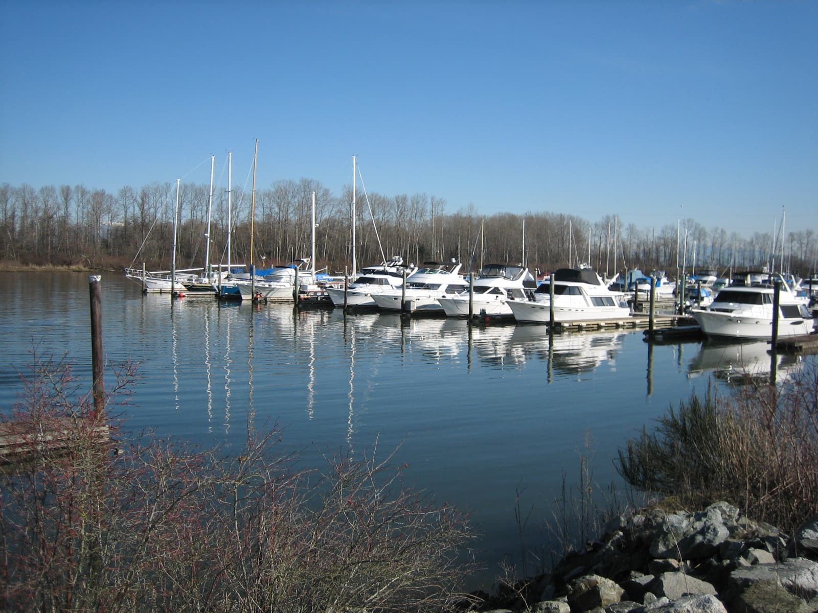 Captain's Cove Marina in Ladner on the south arm of the Fraser River — docked recreational boats along wooden piers, with the marina buildings and the river beyond visible in the image.